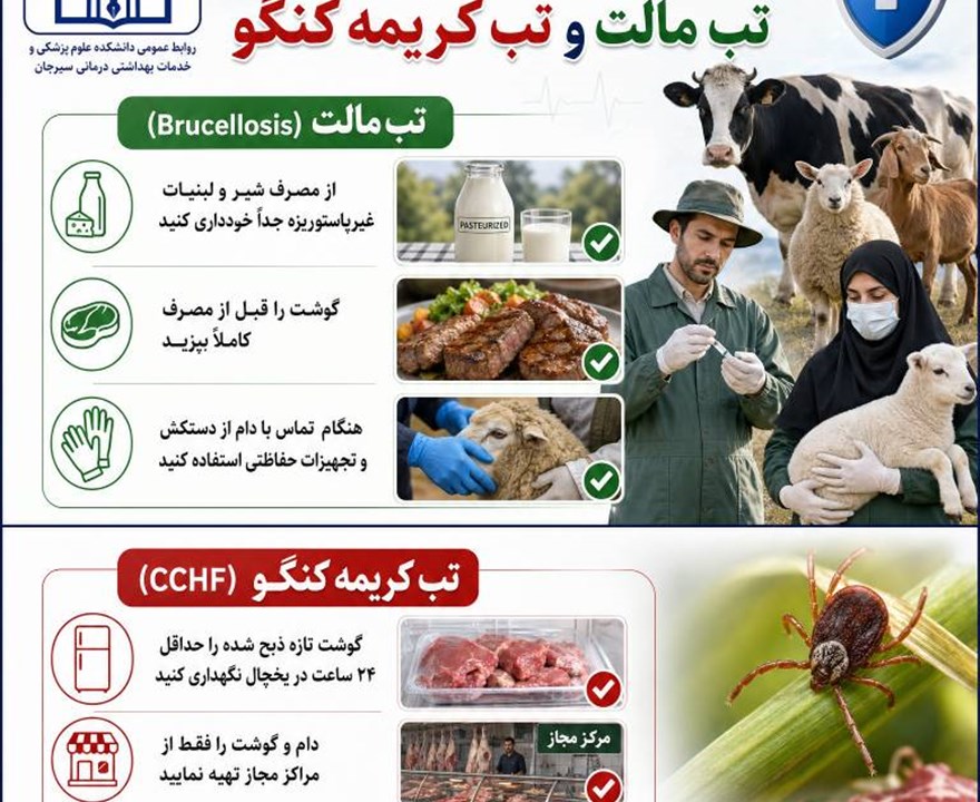 با رعایت نکات بهداشتی ساده در مصرف لبنیات، گوشت و هنگام تماس با دام، از ابتلا به بیماری‌های «تب مالت» و «تب کریمه کنگو» جلوگیری کنید.