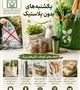 یکشنبه های بدون پلاستیک