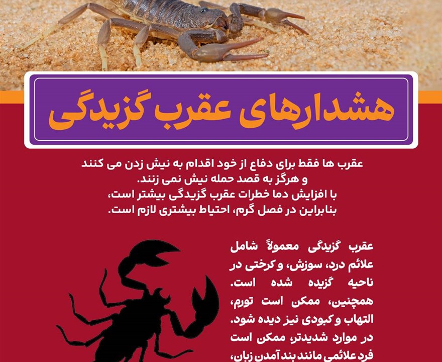 هشدارهای عقرب گزیدگی: